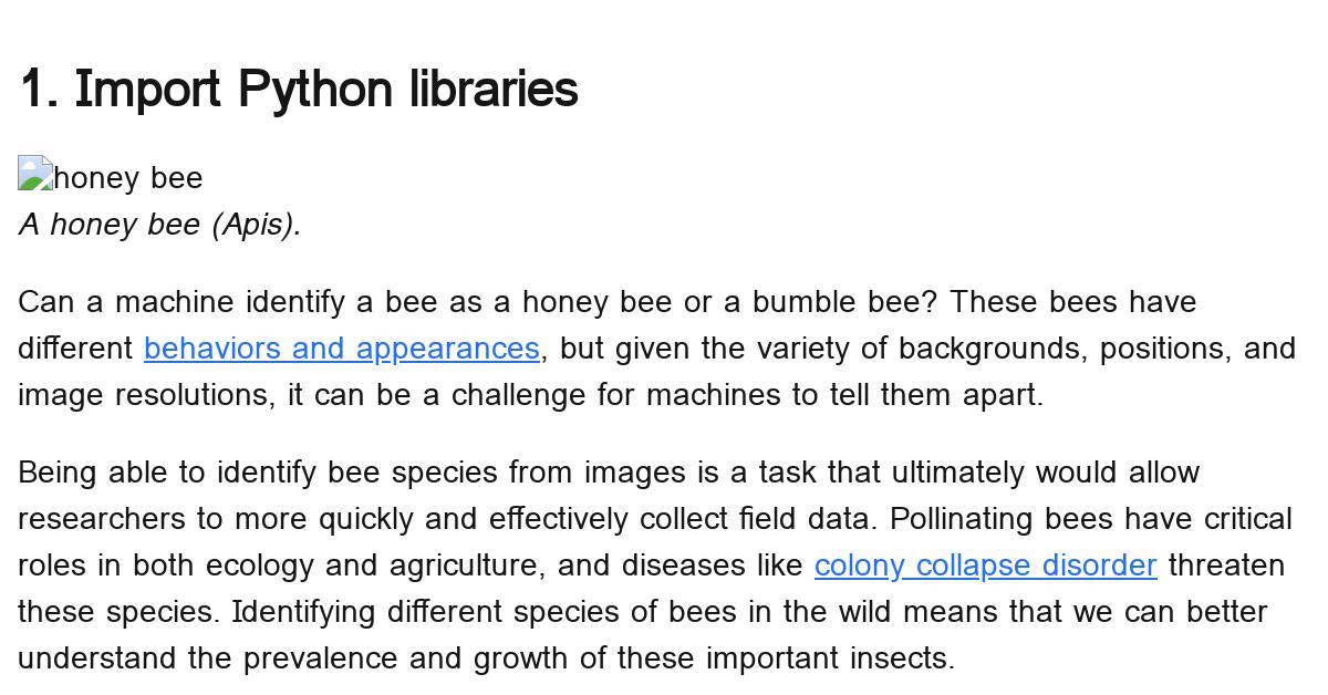 detecting-bees-images-svm
